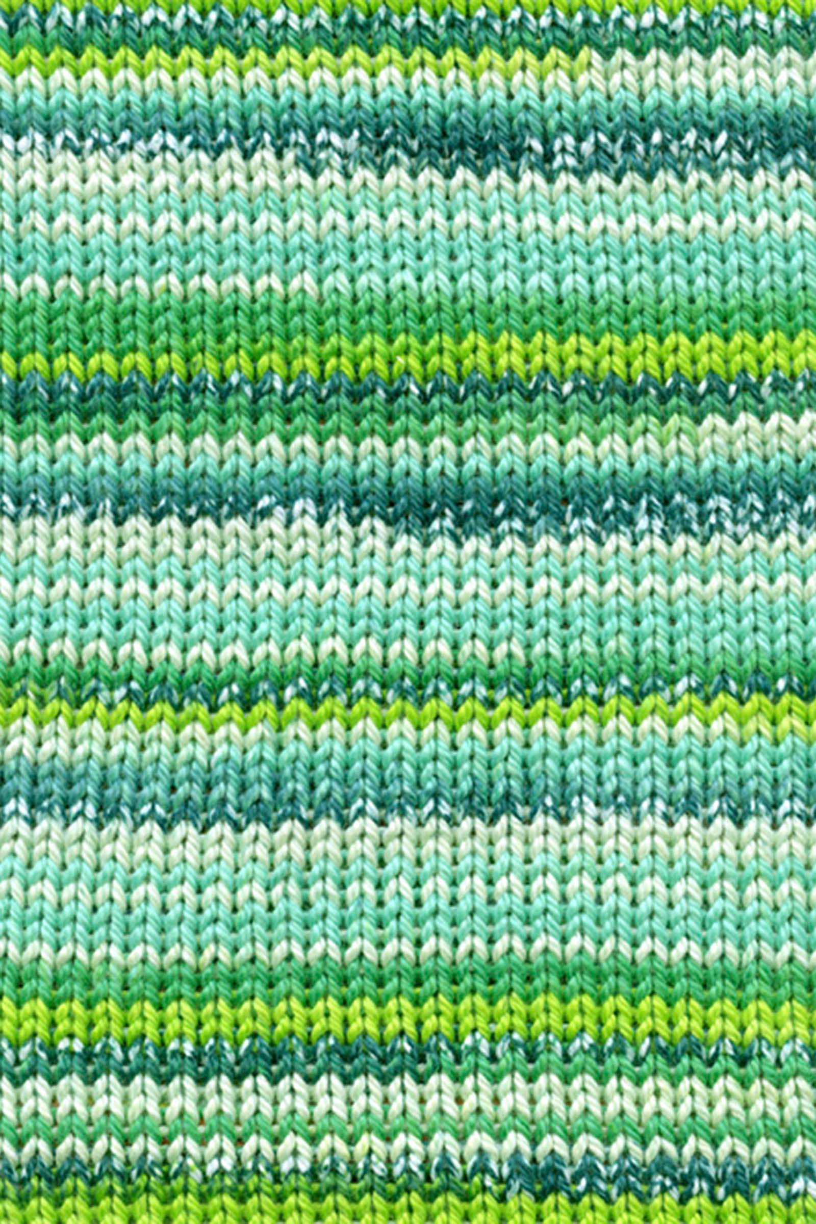 TISSA COLOR