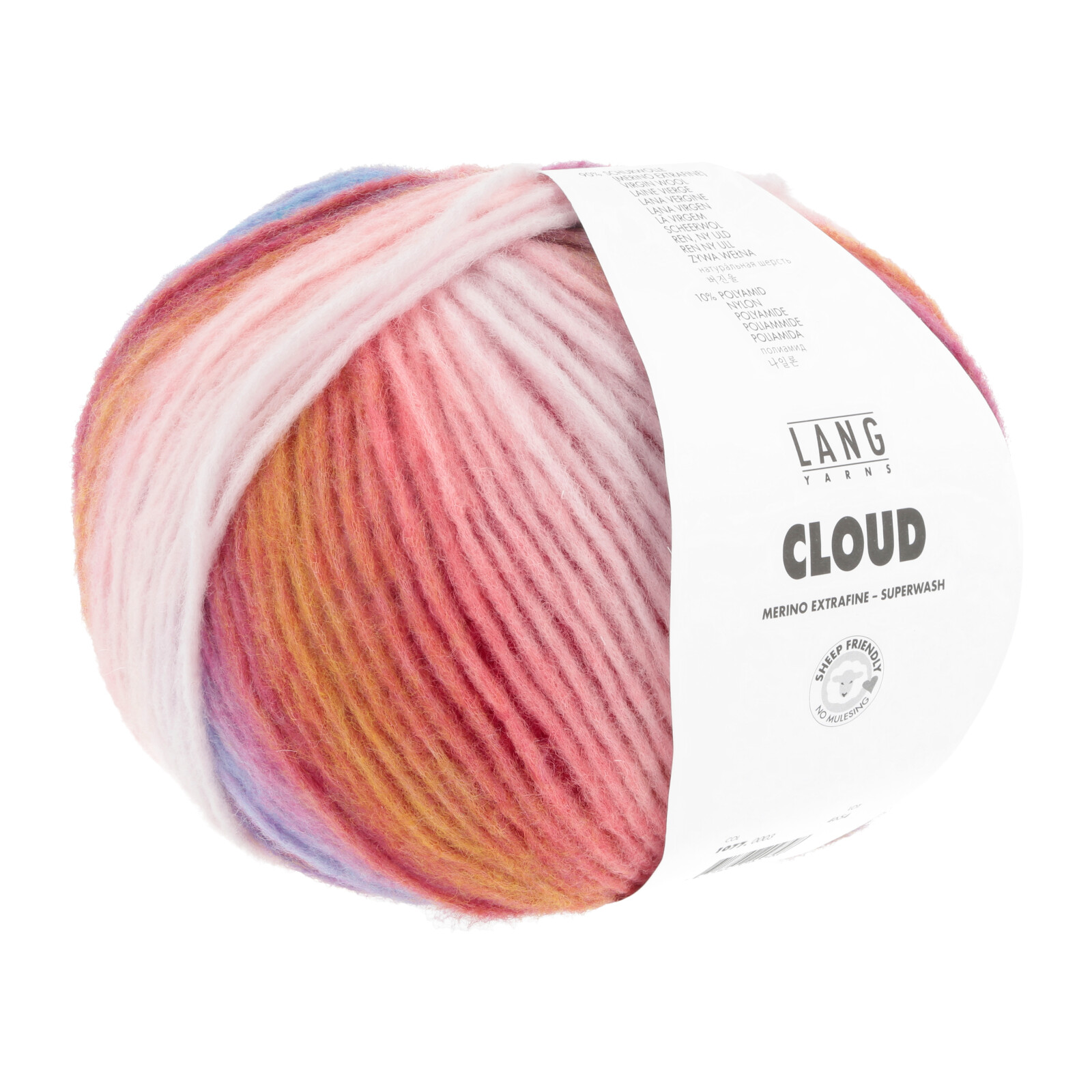 1077.0003 - CLOUD