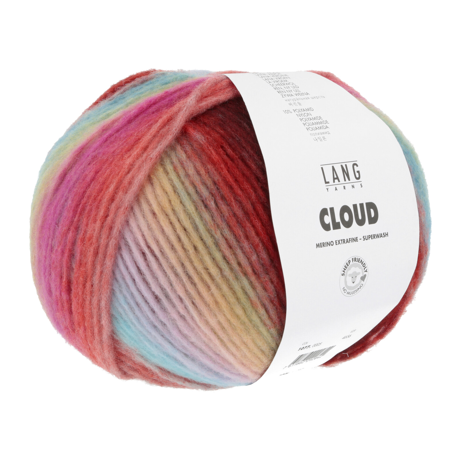 1077.0005 - CLOUD